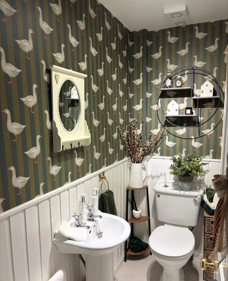Round Wire Wall Shelf with Whimsical Goose Wallpaper