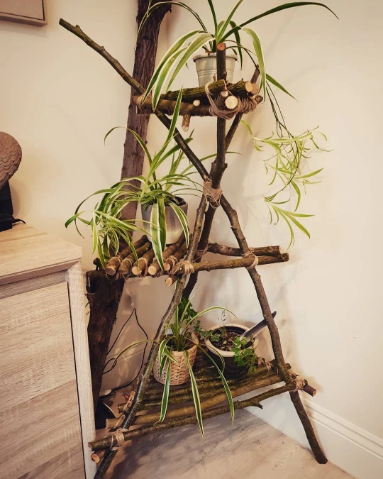 Rustic Branch Corner Display