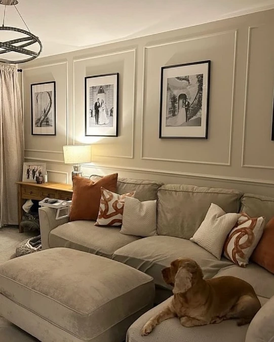 Sage Green Sectional Suits A Warm Toned Hound With Ease