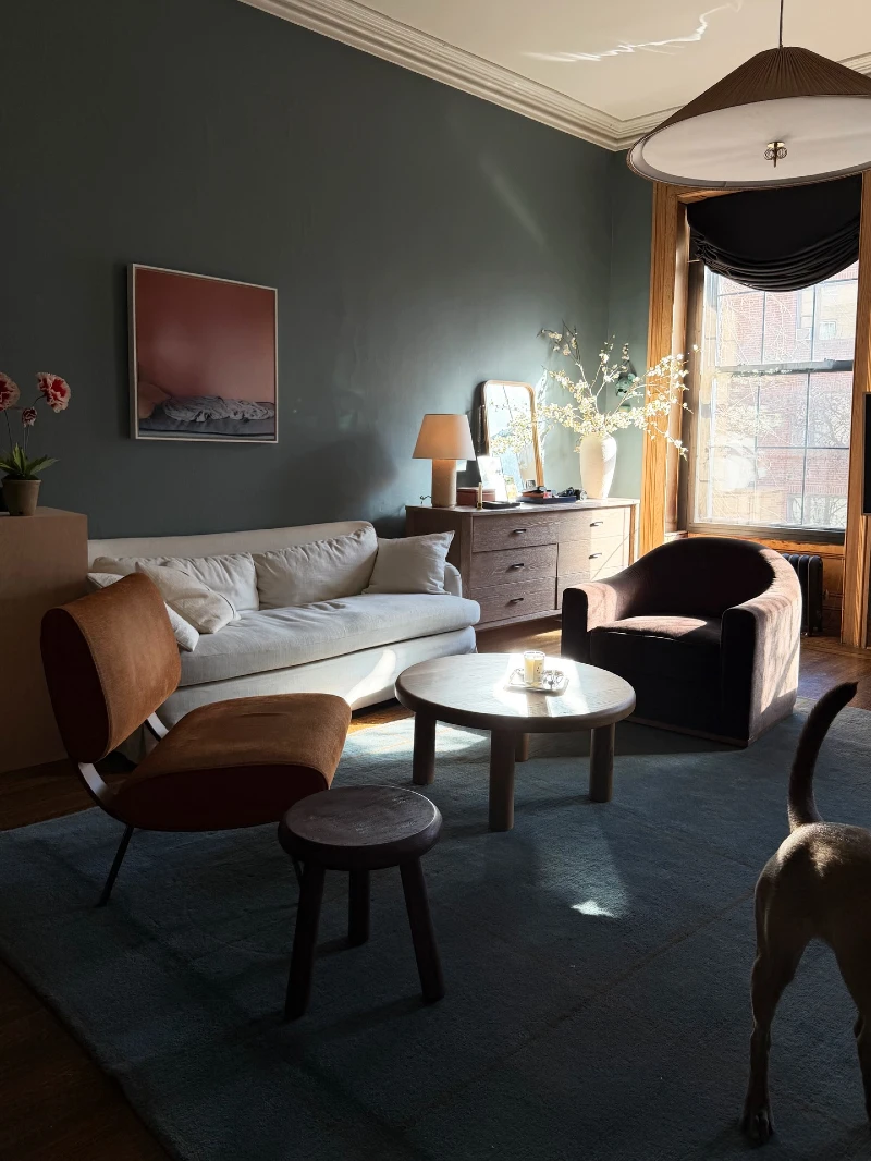 Smoky Teal Walls with Cocoa Chairs and an Ivory Sofa