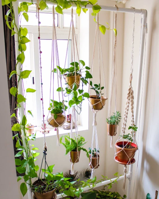 Suspended Window Macrame Display