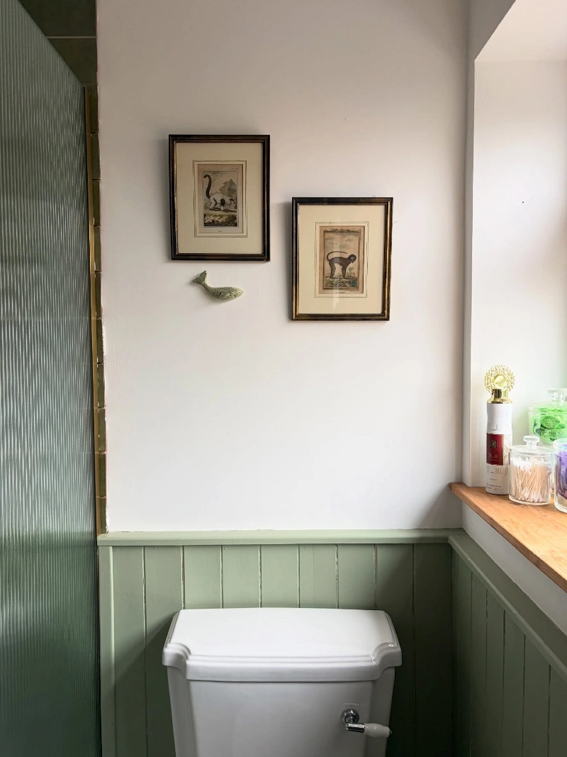 Vintage Framed Illustrations Above Sage Green Wainscoting