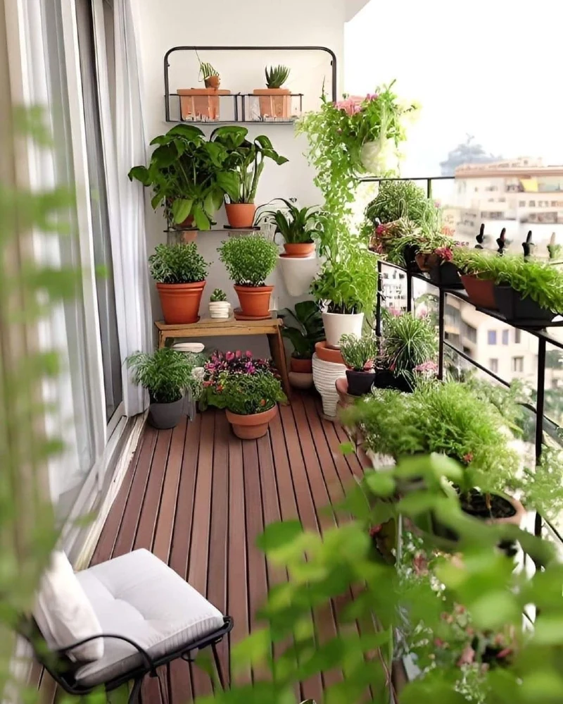 Wall Shelf and Railing Planter Garden with an Open Walkway