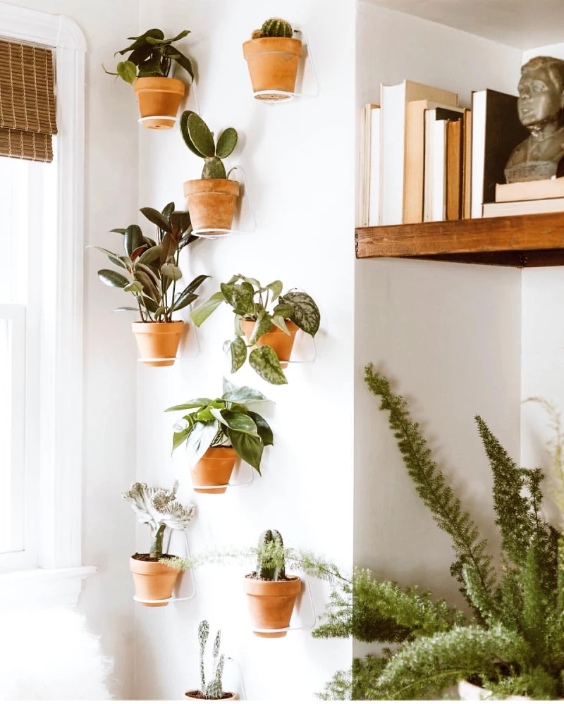 Wall-mounted terracotta pots in wire brackets beside woven window shades