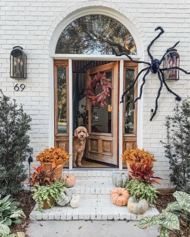 White Painted Brick Arched Entrance with Terracotta Mums, Giant Fuzzy Spider, and a Goldendoodle