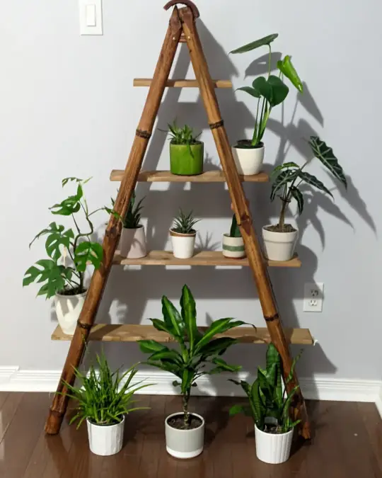 Wooden A Frame Display Shelf