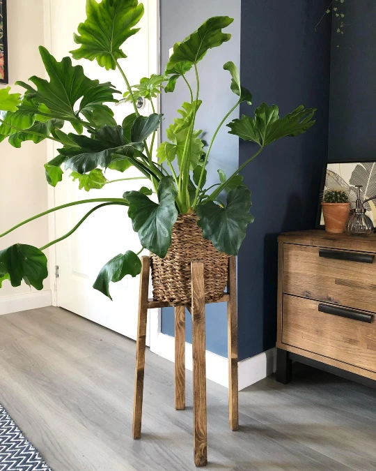Woven Basket On Tall Wood Legs