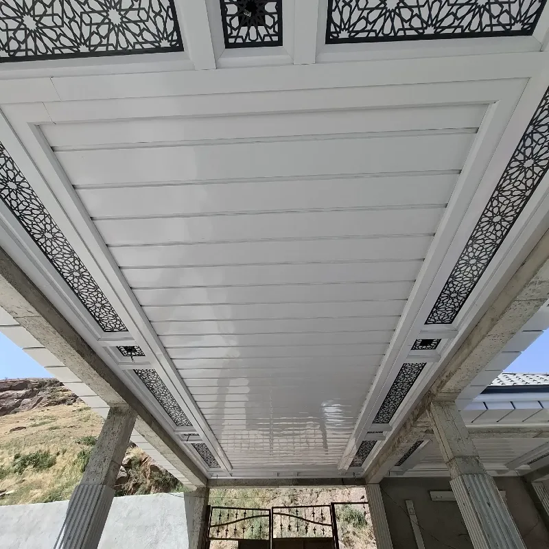Glossy White Panel Ceiling Framed with Intricate Black Metal Cutouts