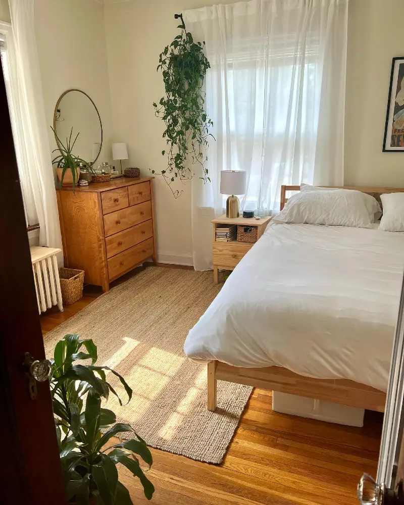 Natural Pine Bed Frame with Jute Rug and Trailing Wall Pothos